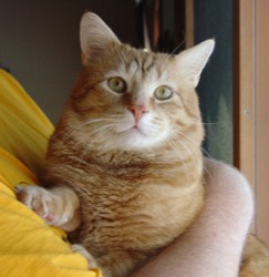 Eastman is bulky, but not as bad as he looks in this picture