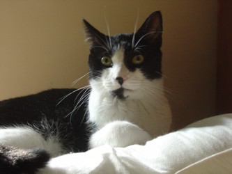 Pablo